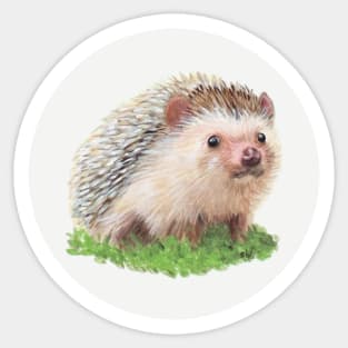 Hedgehog Painting Sticker